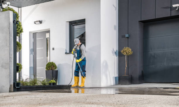 Best Soft Washing  in Hopewell, VA